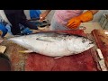 Precision techniques cutting a giant tuna fish for culinary excellence