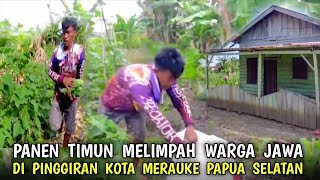Download Lagu Petani muda❗di kampung jawa pinggiran kota Merauke Papua selatan MP3