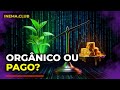 Monetização no TikTok: verdade sobre tráfego orgânico vs pago