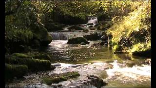 Landscape photography gorge work