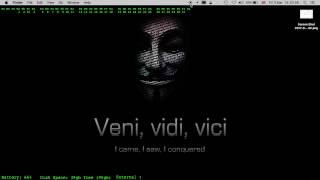 Wifi pineapple Captive portal Test