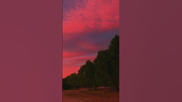 {وَأُخرَىٰ تُحِبُّونَها ۖ نَصرٌ منَ اللَّه وَفَتحٌ قَرِيبٌ ۗ وَبَشرِ المُؤمنِينَ} سورة الصف احمد خضر