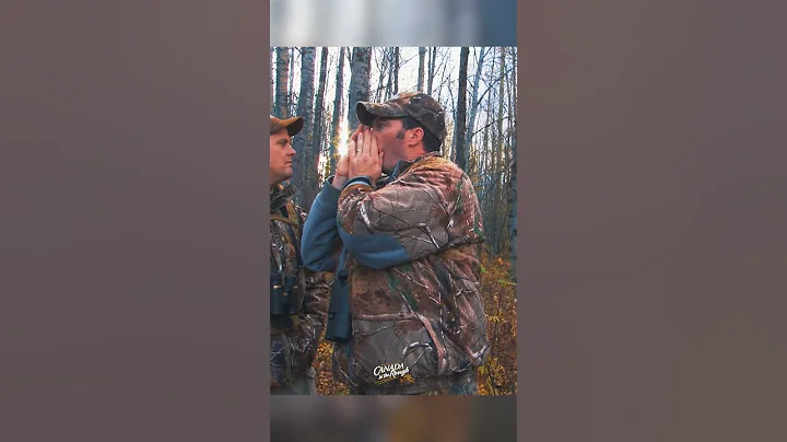 Where to Find and How To Call Moose | Moose FACTS Part.3 #animals #moose #hunting #tips #facts