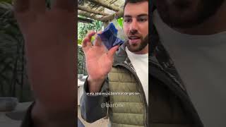 Essa Submetralhadora Automática De Bolinhas De Gel É Cabulosa