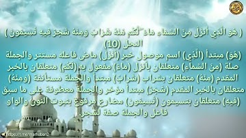 ----{﷽}----《 إعراب القرآن الكريم 》 {سورة _ النحل _مكية} {صفحة ٢٦٨}القارئ : ياسر القرشي
