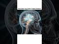 सपने कैसे बनते हैं? 🤯 | How Brain Creates Dreams | #shorts #facts