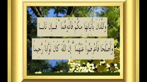 القران الكريم سورة النساء الأية 16.wmv
