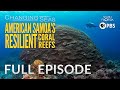 American Samoa's Resilient Coral Reefs | Full Episode