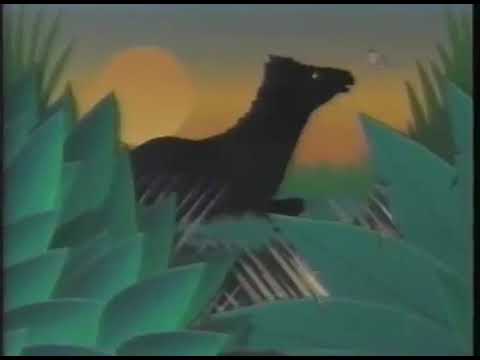 PBS Production-Zink The Zebra - YouTube
