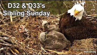 Decorah Eagles- D32 \& D33's Sibling Sunday 04.28.2019