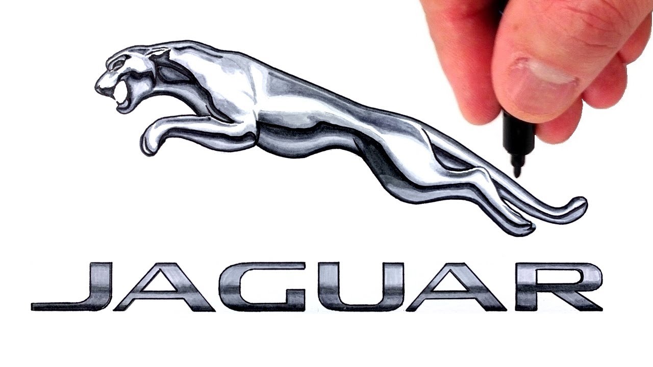 Jaguar Logo  Jaguar car logo Jaguar car Jaguar car symbol