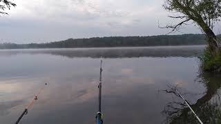 My vacation (fishing)