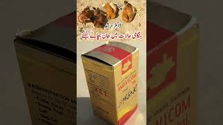 Poultry Birds Health Care Tonic Life Saving Nutrient For Pets Amivicom Inj Dr. Arshad