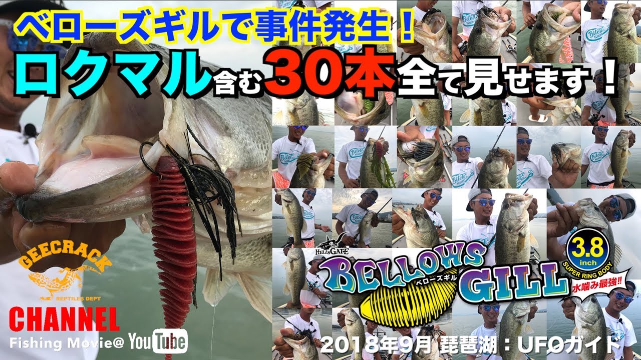 Gルーミス (G.Loomis) 2020年現行ラインナップ おすすめ12選 - 俺の