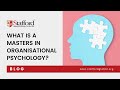 What is a Masters in Organisational Psychology?