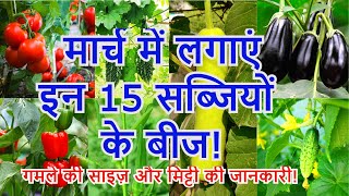 मार्च में लगाए इन 15 सब्जियों के बीज | March Me Lagne Wali Sabjiya | Grow These Vegetable In March