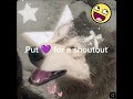 Qna soon put ur questions in the comments :p