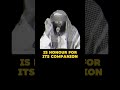 #salafi #islam #islamic #islamicvideo #islamicstatus #quran #muslim #hadith #fypシ #shorts