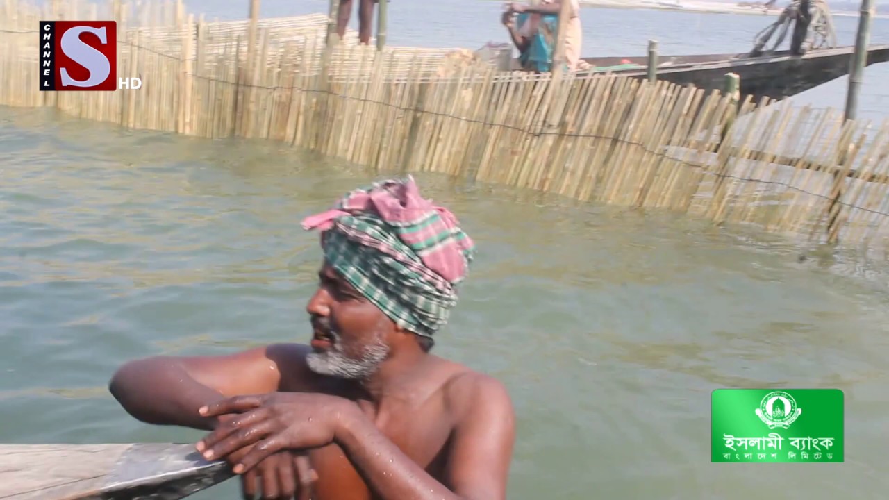 দৌলতপুরে পদ্মা নদীতে বাঁধ দিয়ে দখল | Channel S News | Channel S