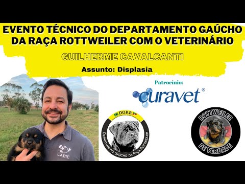 Vídeo: Com Alimentar El Vostre Cadell Rottweiler