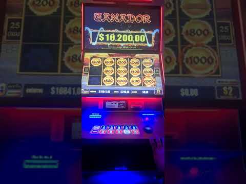 Treasure Island Las Vegas not dead yet hotel casino