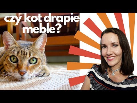 Wideo: Jak Drapać Koty