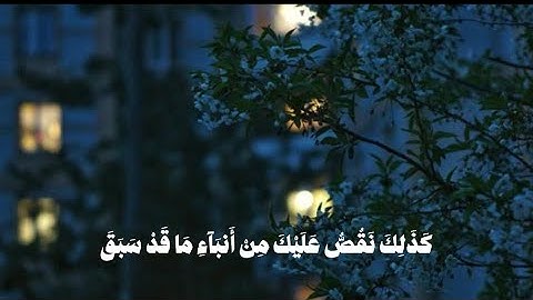 مقتطف من سورة طه القارئ🎙️: ماجد العقل