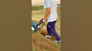 weeding machine rotary tiller ditching machine land treading machine orchard