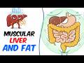 This Morning Routine Forces Your Body to Burn Visceral Fat All Day