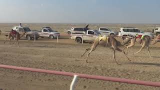 السبت ه الشوط الثالث بكارمفاريد م