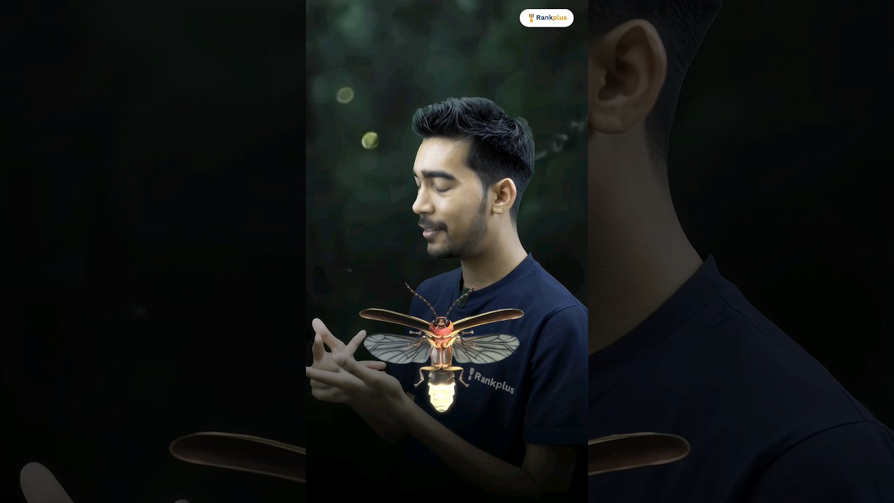 Why Do Fireflies Glow at Night? Simple Science 