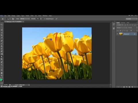 Adobe Photoshop CS6 Ders 23 - Blur Tool - Sharpen Tool  - Smudge Tool