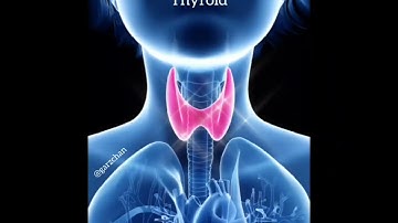 Light Language for Thyroid - Garz Chan