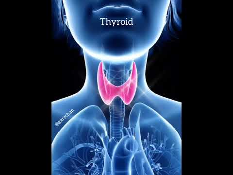 Light Language for Thyroid - Garz Chan