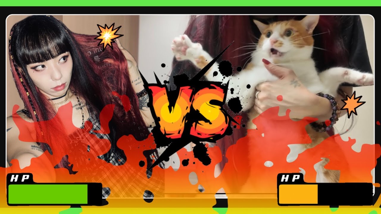 이번 주가 피크닉 페스티벌 공연이라고?! It’s Picnic Festival Week?!