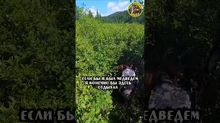 Тайга Заросли выше головы.