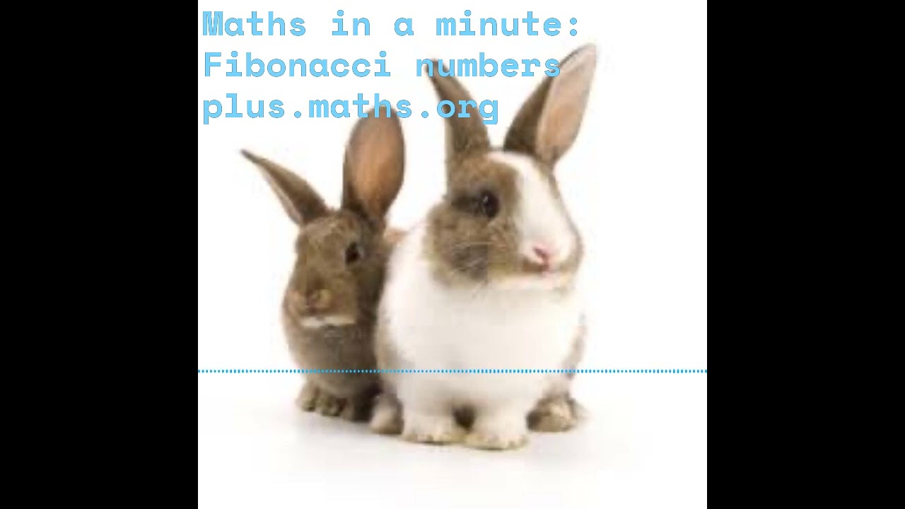 Maths in a minute: Fibonacci numbers