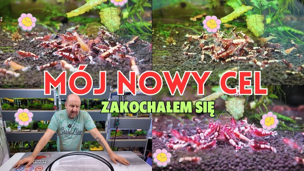 ZAKOCHAŁEM SIĘ - TYLKO CZY MNIE NA TO STAĆ