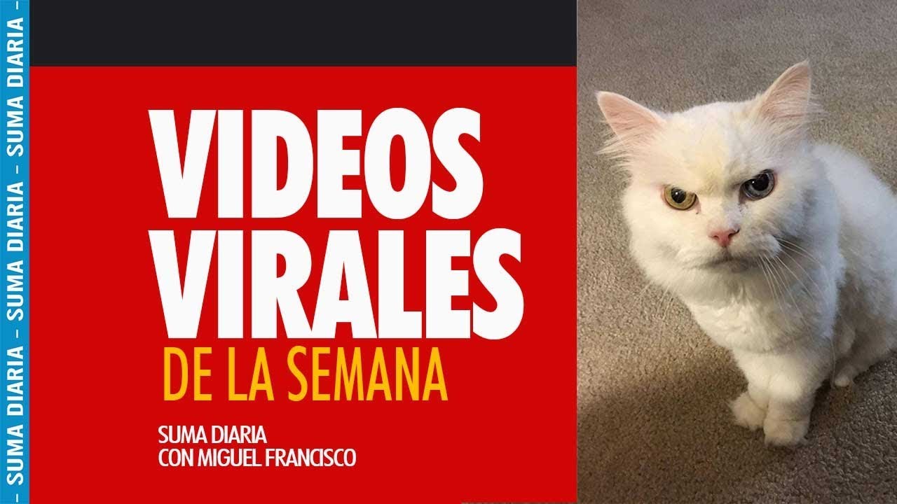 electronics Video Virales de la Semana | Suma Diaria | Miguel Francisco