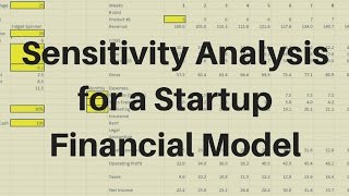 Celebrity Startup Financial Model Part-4 Profile