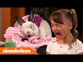 Os Thundermans | Cadê meu cobertor?! | Nickelodeon em Português