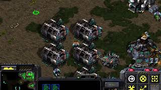 Starcraft Remastered Tips and Tricks for Beginner Terrans