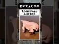 亀の甲羅の中ってこんなだったの?! #shorts #memes #ai #fyp