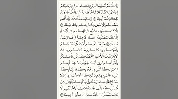 سورة النساء من الايه 20 إلي 23💚 بصوت الشيخ ياسر الدوسري 🤍
