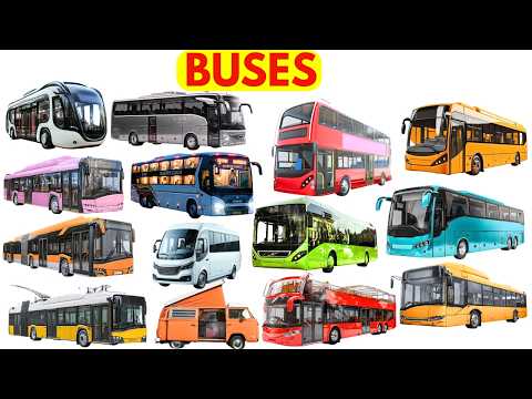 Buses Name for Kids | Learn Vehicle Names with Sound | School Bus, coach & More