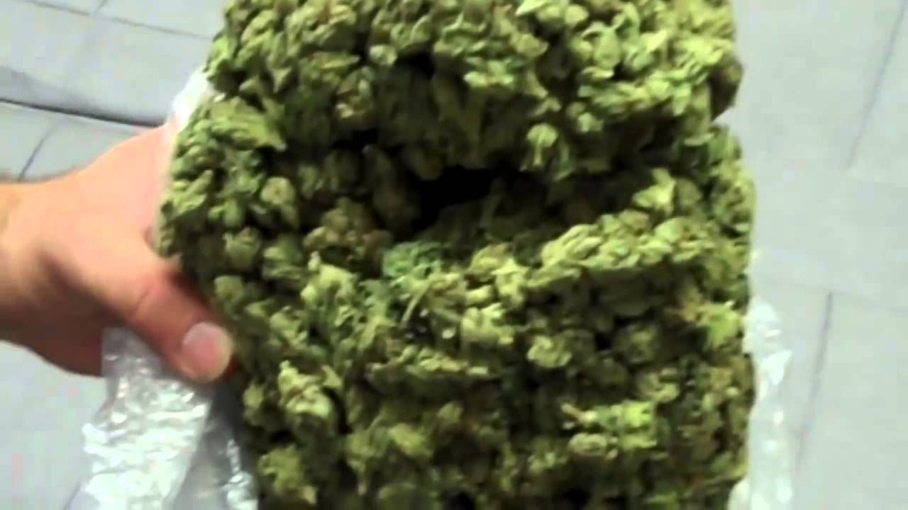 The worlds best bud trimmer YouTube 0 YouTube