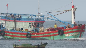 Ghe lưới Bình Định tăng tốc chở cá về bến