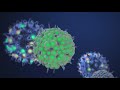 The Next Covid-19 Variant That Concerns Health Experts Is The Lambda Variant
