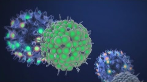 What you need to know about the Covid Lambda variant