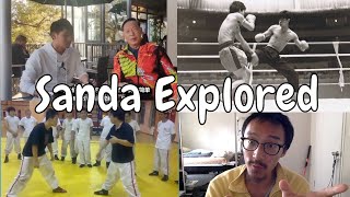 Chinese Martial Arts History - Sanda Explored In-Depth
